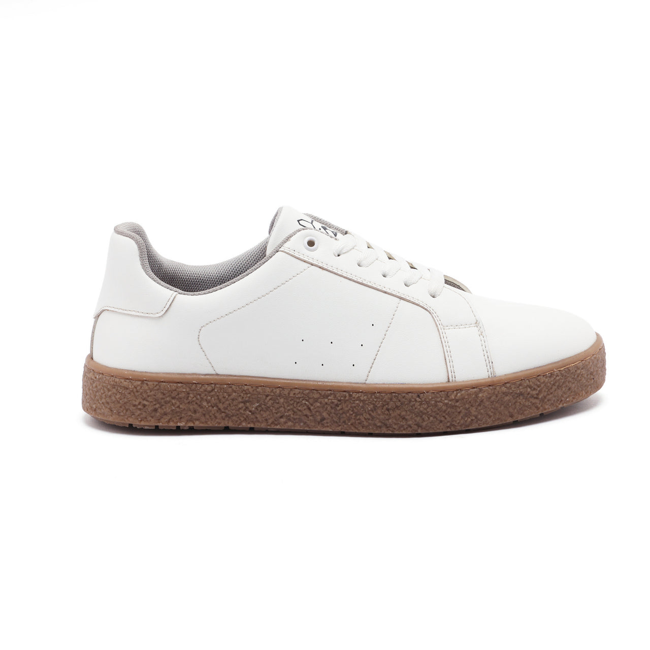 DOGS 301 Almond
