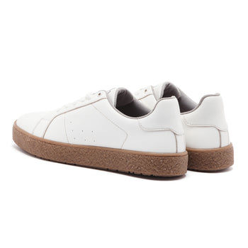DOGS 301 Almond